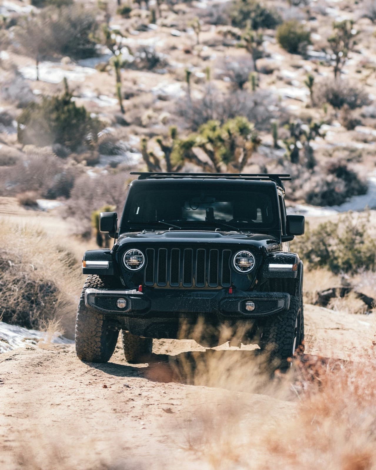 Jeep on a desert trail